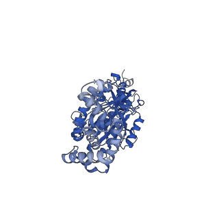 34568_8h9i_C_v1-2
Human ATP synthase F1 domain, state2