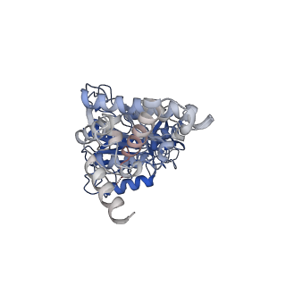 34568_8h9i_D_v1-2
Human ATP synthase F1 domain, state2