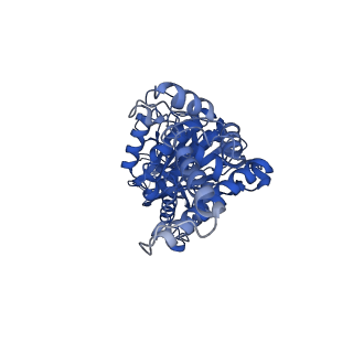 34568_8h9i_E_v1-2
Human ATP synthase F1 domain, state2