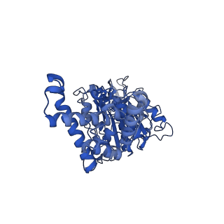 34568_8h9i_F_v1-2
Human ATP synthase F1 domain, state2