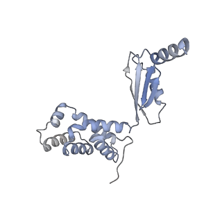 34568_8h9i_O_v1-2
Human ATP synthase F1 domain, state2