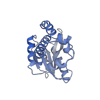34569_8h9j_G_v1-2
Human ATP synthase state2 subregion 3