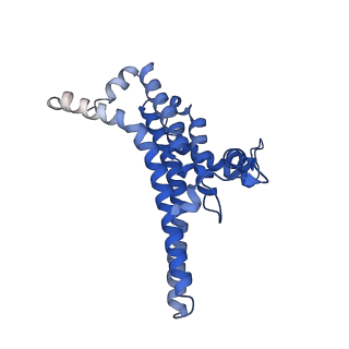 34569_8h9j_N_v1-2
Human ATP synthase state2 subregion 3