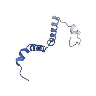 34569_8h9j_R_v1-2
Human ATP synthase state2 subregion 3