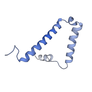 34569_8h9j_S_v1-2
Human ATP synthase state2 subregion 3