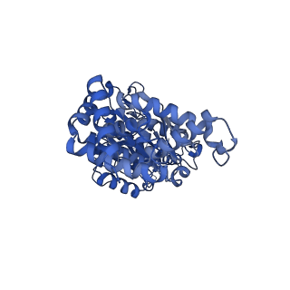 34572_8h9l_A_v1-2
Human ATP synthase F1 domain, state 3a