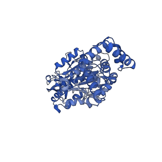 34572_8h9l_B_v1-2
Human ATP synthase F1 domain, state 3a