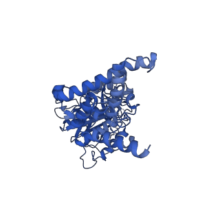34572_8h9l_D_v1-2
Human ATP synthase F1 domain, state 3a