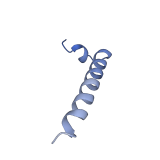 34572_8h9l_J_v1-2
Human ATP synthase F1 domain, state 3a
