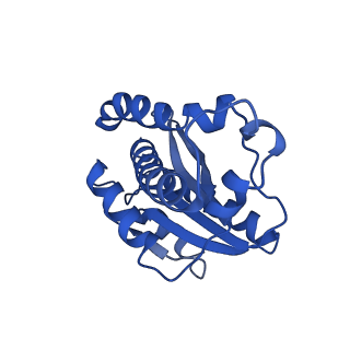 34573_8h9m_G_v1-2
Human ATP synthase state 3a subregion 3