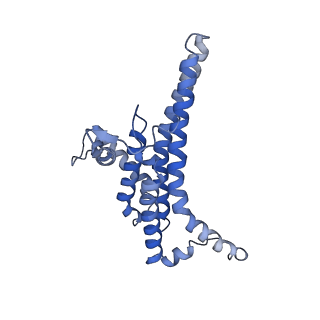 34573_8h9m_N_v1-2
Human ATP synthase state 3a subregion 3