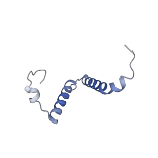 34573_8h9m_R_v1-2
Human ATP synthase state 3a subregion 3
