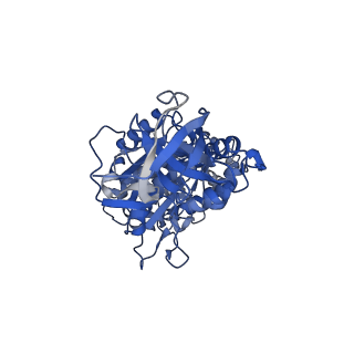 34576_8h9p_A_v1-2
Human ATP synthase F1 domain, state 3b
