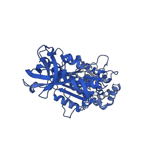 34576_8h9p_B_v1-2
Human ATP synthase F1 domain, state 3b
