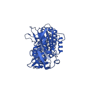 34576_8h9p_C_v1-2
Human ATP synthase F1 domain, state 3b