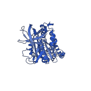 34576_8h9p_E_v1-2
Human ATP synthase F1 domain, state 3b