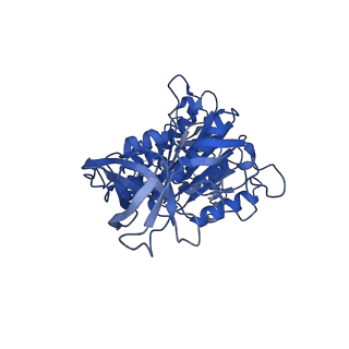 34576_8h9p_F_v1-2
Human ATP synthase F1 domain, state 3b
