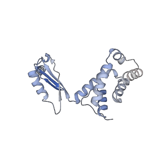 34576_8h9p_O_v1-2
Human ATP synthase F1 domain, state 3b