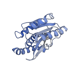 34577_8h9q_G_v1-2
Human ATP synthase state 3b subregion 3