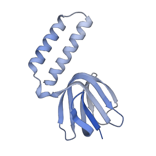 34577_8h9q_H_v1-2
Human ATP synthase state 3b subregion 3