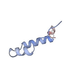 34577_8h9q_I_v1-2
Human ATP synthase state 3b subregion 3