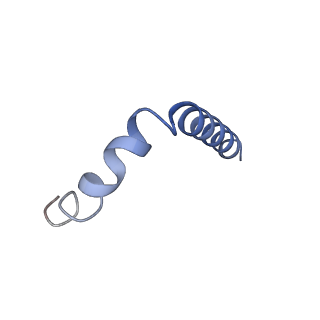 34577_8h9q_P_v1-2
Human ATP synthase state 3b subregion 3