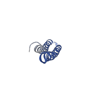 34580_8h9s_8_v1-2
Human ATP synthase state 1 (combined)