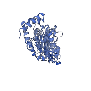 34580_8h9s_B_v1-2
Human ATP synthase state 1 (combined)