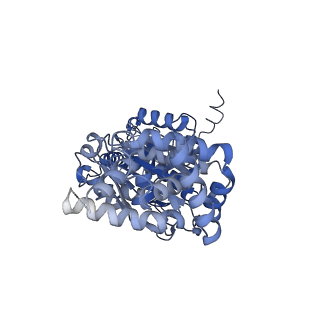 34580_8h9s_C_v1-2
Human ATP synthase state 1 (combined)