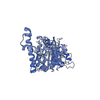 34580_8h9s_D_v1-2
Human ATP synthase state 1 (combined)