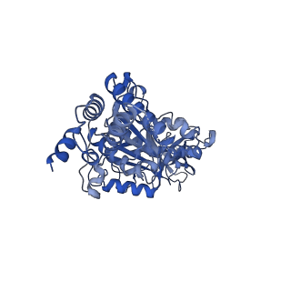 34580_8h9s_E_v1-2
Human ATP synthase state 1 (combined)