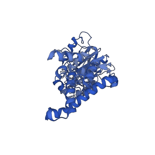 34580_8h9s_F_v1-2
Human ATP synthase state 1 (combined)