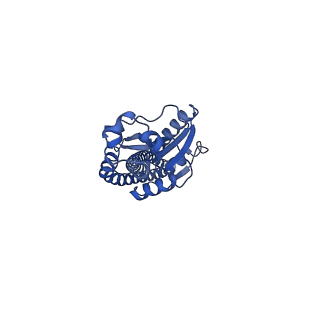 34580_8h9s_G_v1-2
Human ATP synthase state 1 (combined)