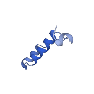 34580_8h9s_I_v1-2
Human ATP synthase state 1 (combined)