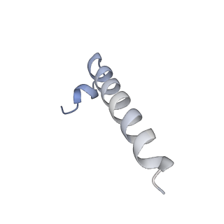 34580_8h9s_J_v1-2
Human ATP synthase state 1 (combined)