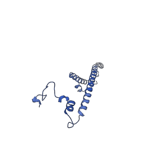34580_8h9s_M_v1-2
Human ATP synthase state 1 (combined)