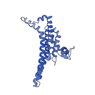34580_8h9s_N_v1-2
Human ATP synthase state 1 (combined)