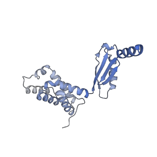 34580_8h9s_O_v1-2
Human ATP synthase state 1 (combined)