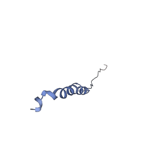 34580_8h9s_Q_v1-2
Human ATP synthase state 1 (combined)