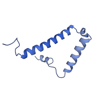 34580_8h9s_S_v1-2
Human ATP synthase state 1 (combined)