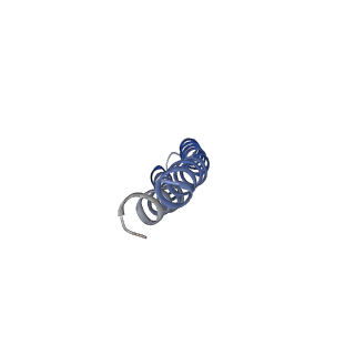 34581_8h9t_4_v1-2
Human ATP synthase state 2 (combined)
