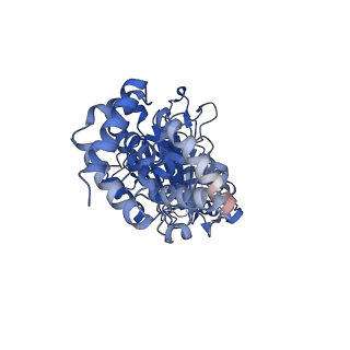 34581_8h9t_A_v1-2
Human ATP synthase state 2 (combined)