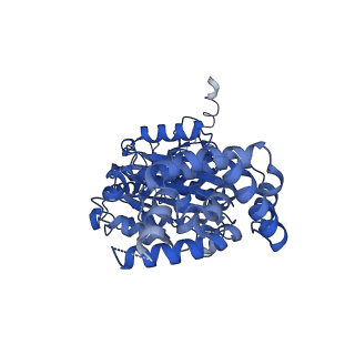 34581_8h9t_B_v1-2
Human ATP synthase state 2 (combined)