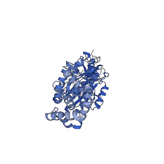 34581_8h9t_C_v1-2
Human ATP synthase state 2 (combined)