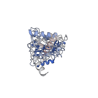 34581_8h9t_D_v1-2
Human ATP synthase state 2 (combined)