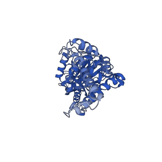 34581_8h9t_E_v1-2
Human ATP synthase state 2 (combined)