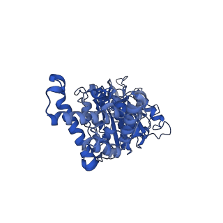 34581_8h9t_F_v1-2
Human ATP synthase state 2 (combined)