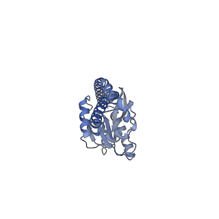 34581_8h9t_G_v1-2
Human ATP synthase state 2 (combined)