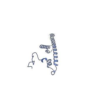 34581_8h9t_M_v1-2
Human ATP synthase state 2 (combined)