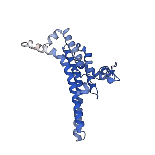 34581_8h9t_N_v1-2
Human ATP synthase state 2 (combined)